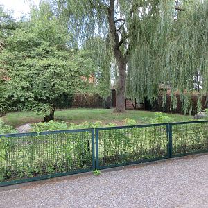 Dwarf Cassowary Exhibit