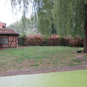Northern Cassowary Exhibit