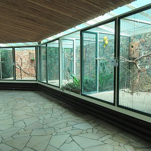 Parrot House