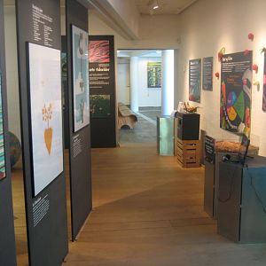 Økolariet - Insect exhibition