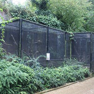 Small Mammal House - Yellow-throated marten enclosures