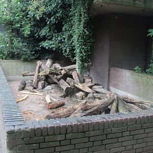 Small Mammal House - Porcupine enclosure