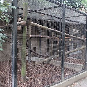 Small Mammal House - Former Spider monkey outdoor enclosure ( at the moment empty )