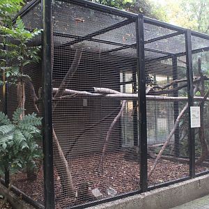 Small Mammal House - Ring-tailed lemur outdoor enclosure