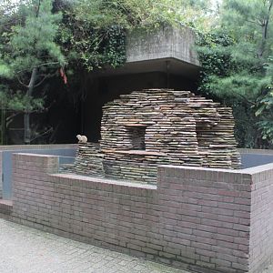 Small Mammal House - Meerkat enclosure