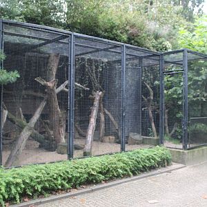 Small Mammal House - Binturong enclosures