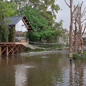 New Spider monkey enclosure