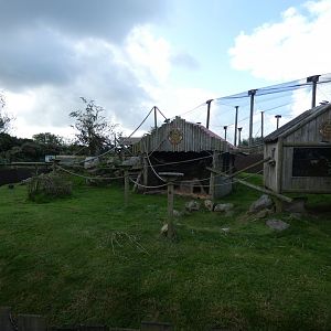 Common Marmoset and Agouti enclosure