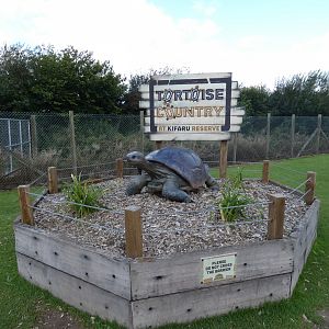 Tortoise Country entrance