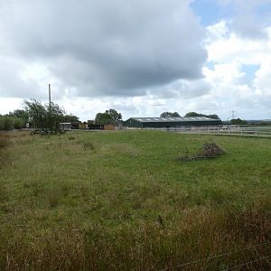 View of Black Rhino paddock (2)