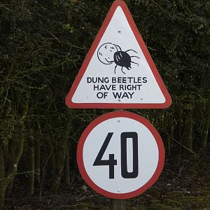 Themed signage in Kifaru Reserve (2)