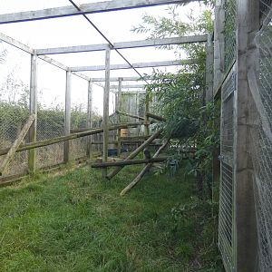 Ocelot enclosure