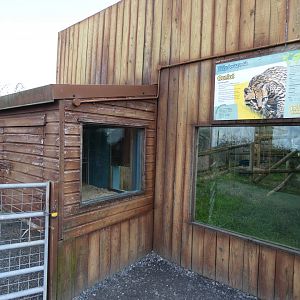 Ocelot house and outdoor viewing are