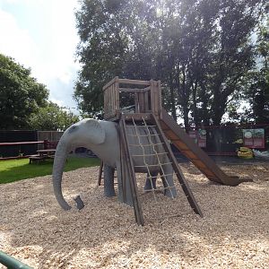 Elephant play area