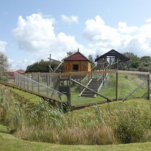 Black-and-white Ruffed Lemur enclosure