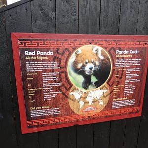 Red Panda signage