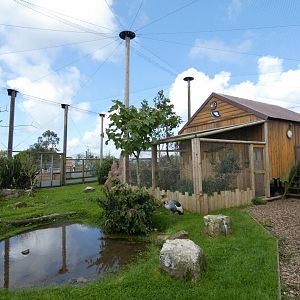 Walk-through African aviary