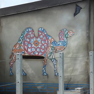 Camel mural