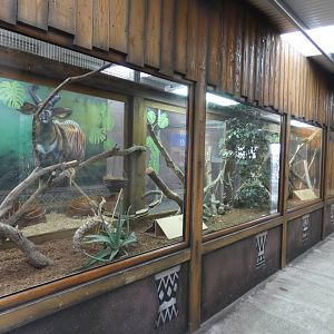 Dwarf Mongoose enclosure and indoor Bongo viewing area