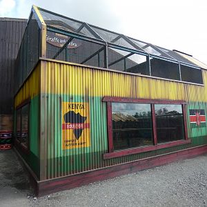 Greater Vasa Parrot aviary