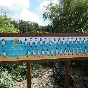 Penguin ID signage