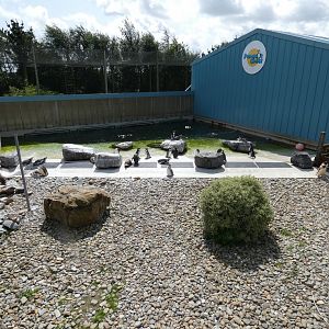 Part of Penguin enclosure