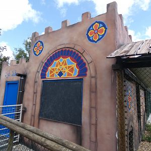 Barbary Macaque house