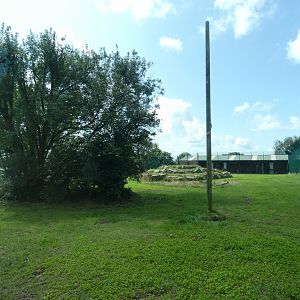 Part of Lion enclosure