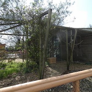 Kookaburra and Masked Plover enclosure