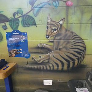 Thylacine mural