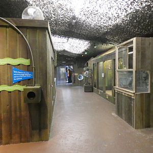 View of Folly Interactive