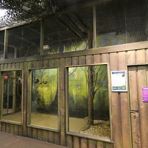 Rodrigues' Fruit Bat enclosure