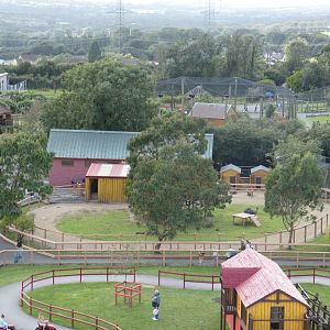 Emu/ Parma Wallaby enclosure