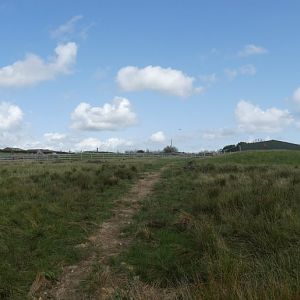 Panorama of Black Rhino enclosure