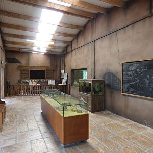 Lion house and education area