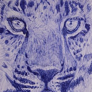 Amur leopard sketch with ballpoint pen