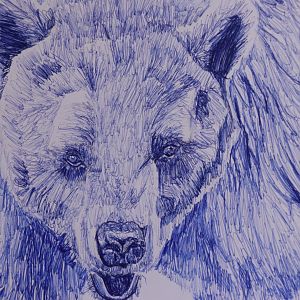 European brown bear in ballpoint