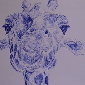 Giraffe in ballpoint