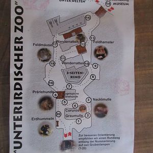 The Underground Zoo - brilliant!