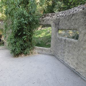 Kirk's Dik-dik Exhibit