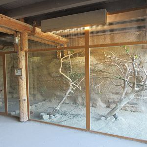 Takamanda - Aviary next to Colobus/Warthog Exhibit