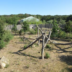 Takamanda - Chimpanzee Exhibit