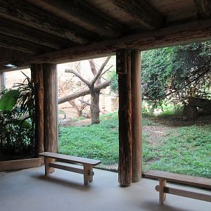 Takamanda - Chimpanzee Indoor Exhibit