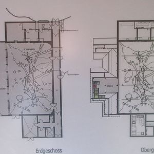 Takamanda - Chimpanzee Indoor Exhibit