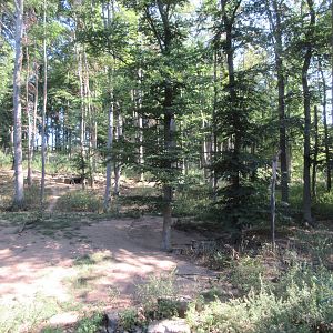 Manitoba - Wolf Exhibit
