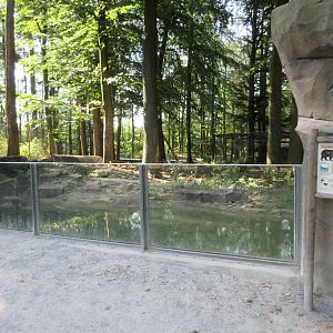 Manitoba - American Black Bear Exhibit