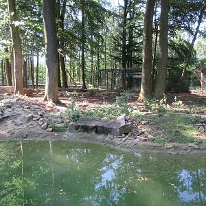 Manitoba - American Black Bear Exhibit