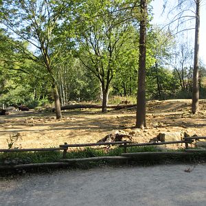 Manitoba - Wood Bison Exhibit