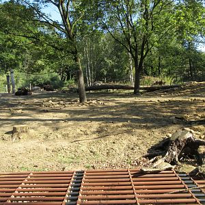 Manitoba - Wood Bison Exhibit