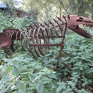 Manitoba - Bizarre Artwork